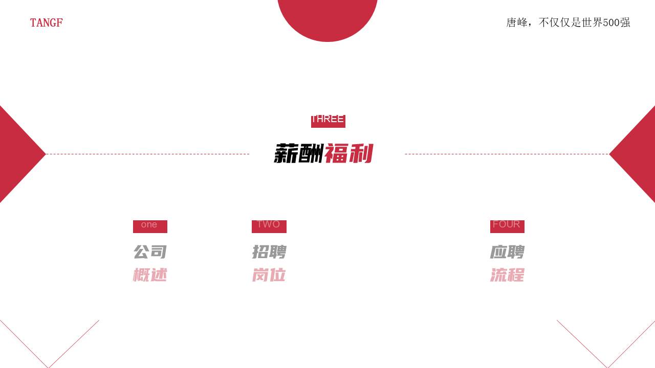 7-公司介绍 (4).pptx